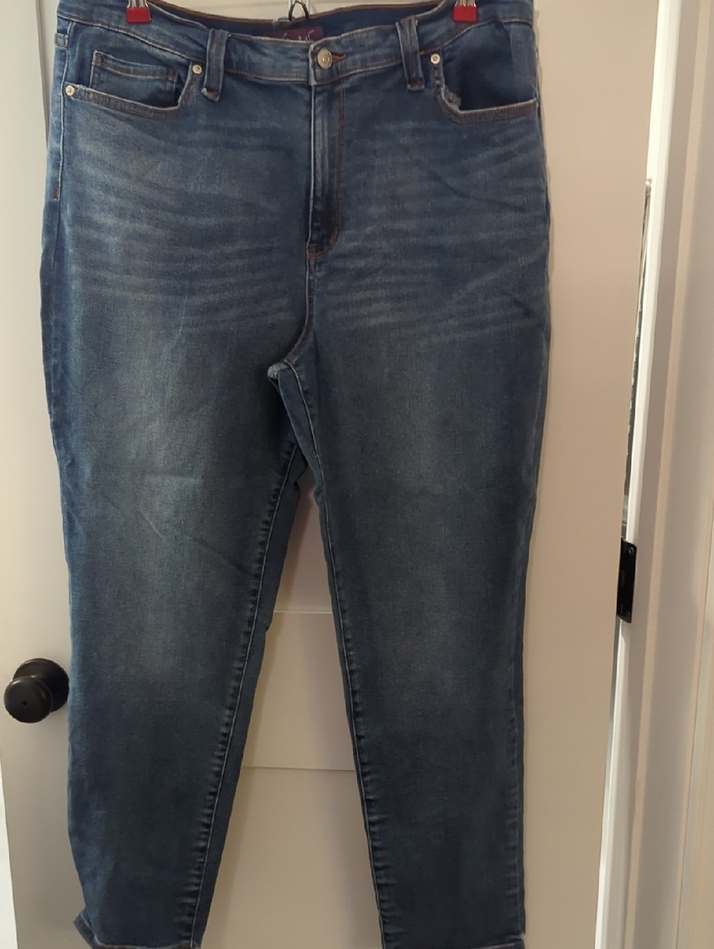 Gloria Vanderbilt Blue Skinny Jeans